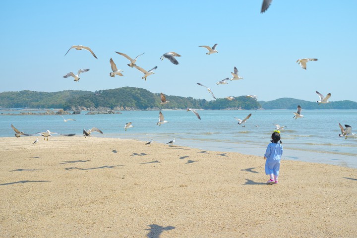 선재도의 아이