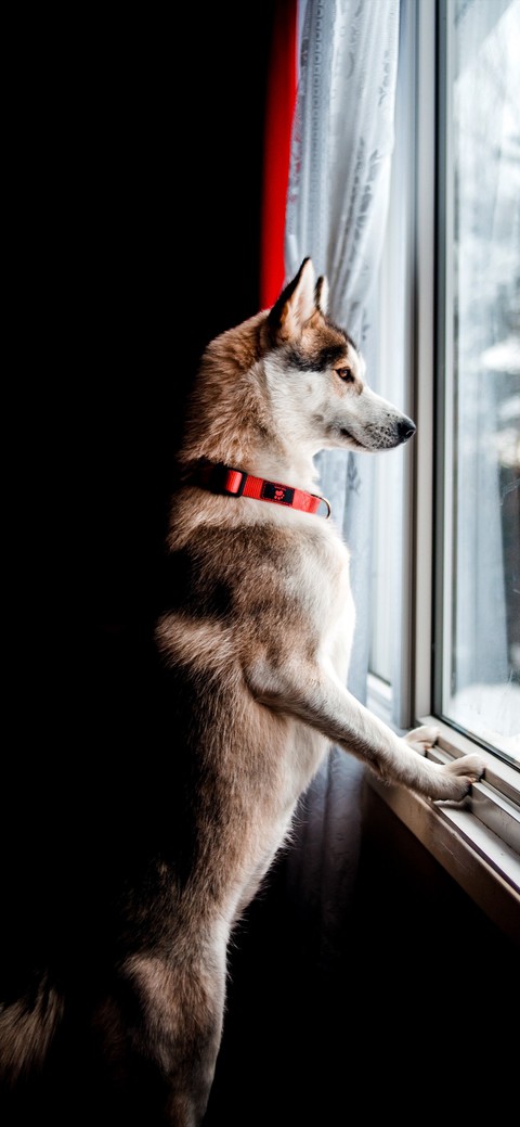 I want to go out : (