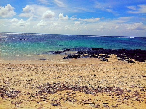 Palmar coast