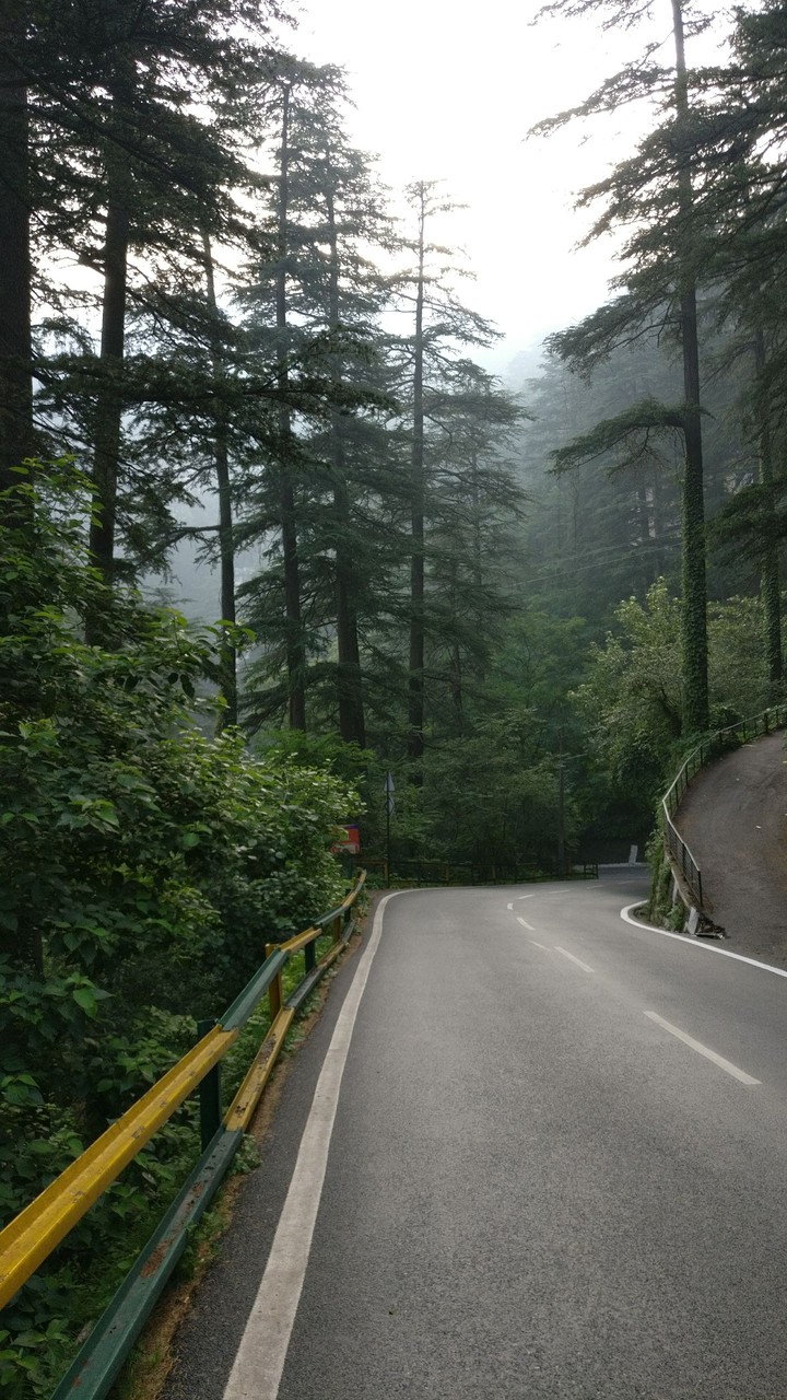 Shimla