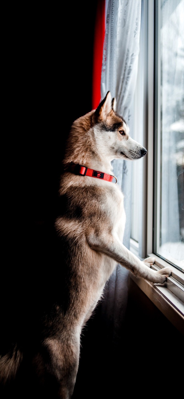 I want to go out : (