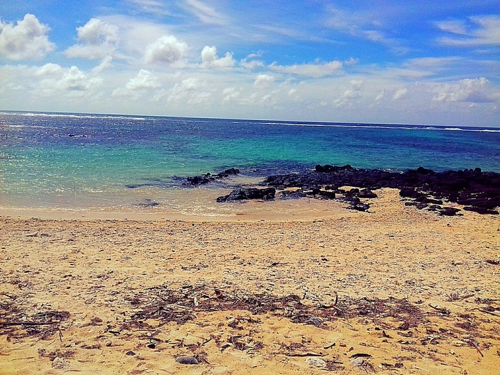 Palmar coast