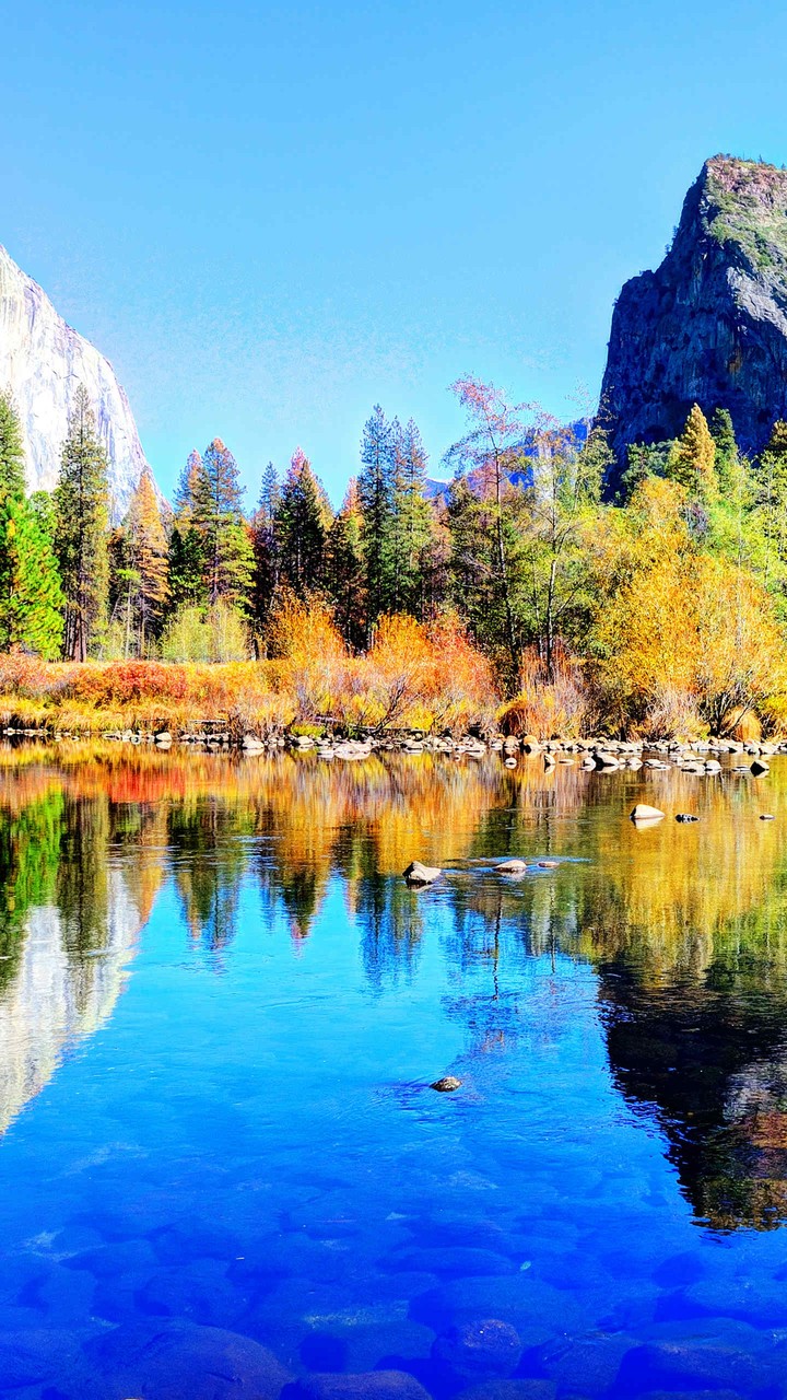 The Lake