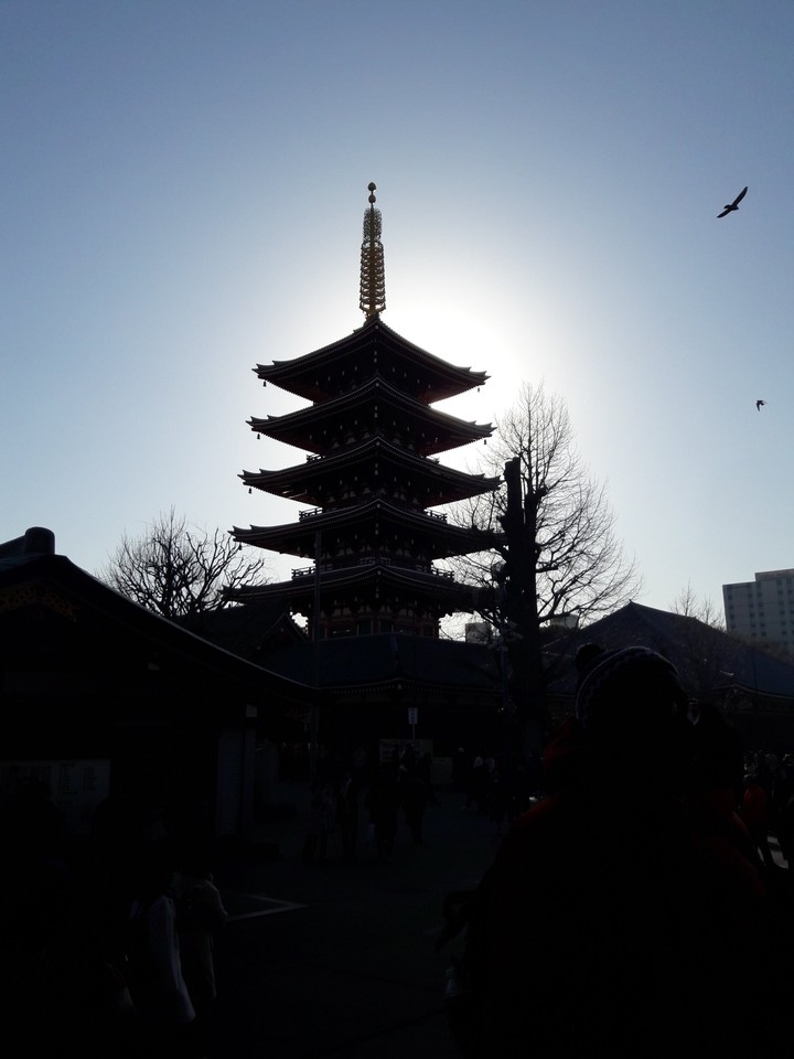 센소지