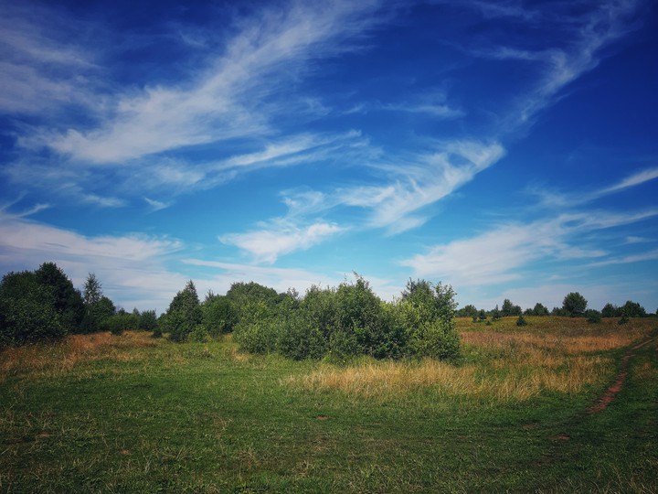 nature