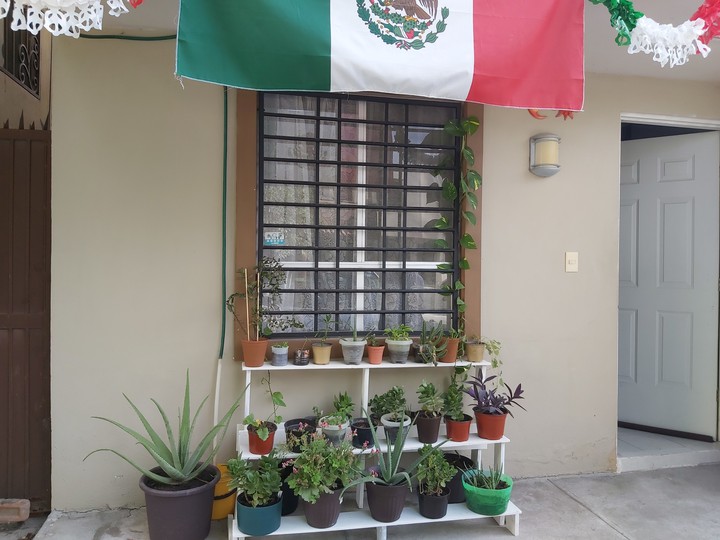 Viva México