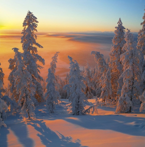 вечер, nature वॉलपेपर