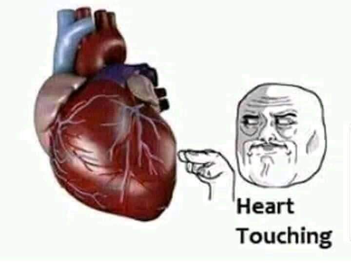MEMES