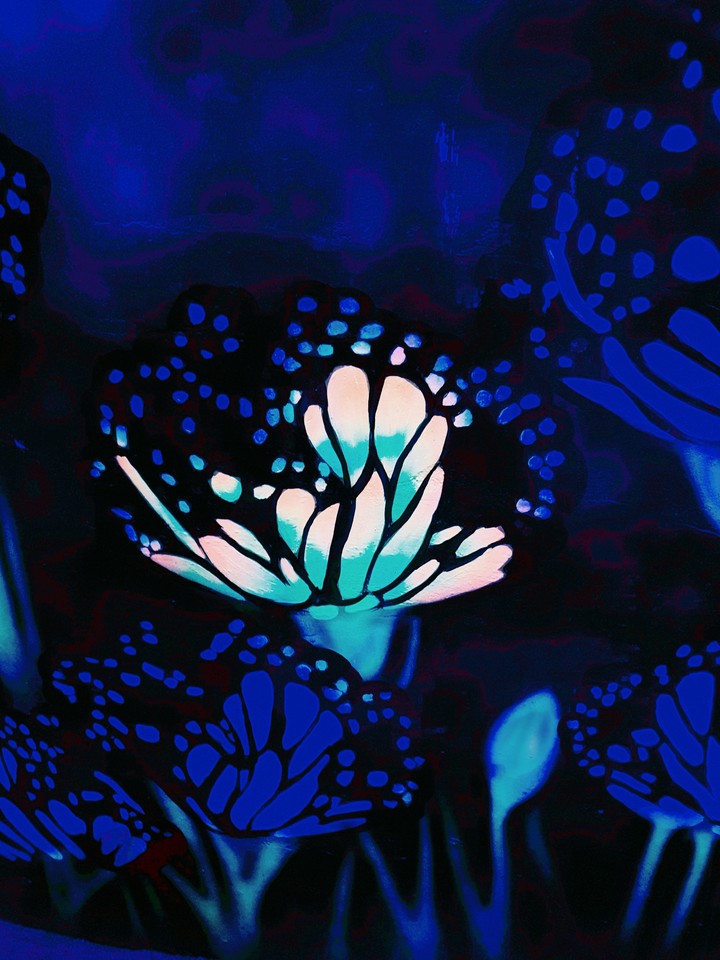 flowerfly