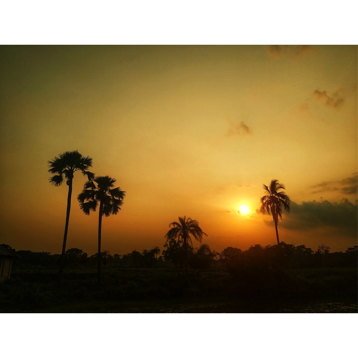 The sunset.