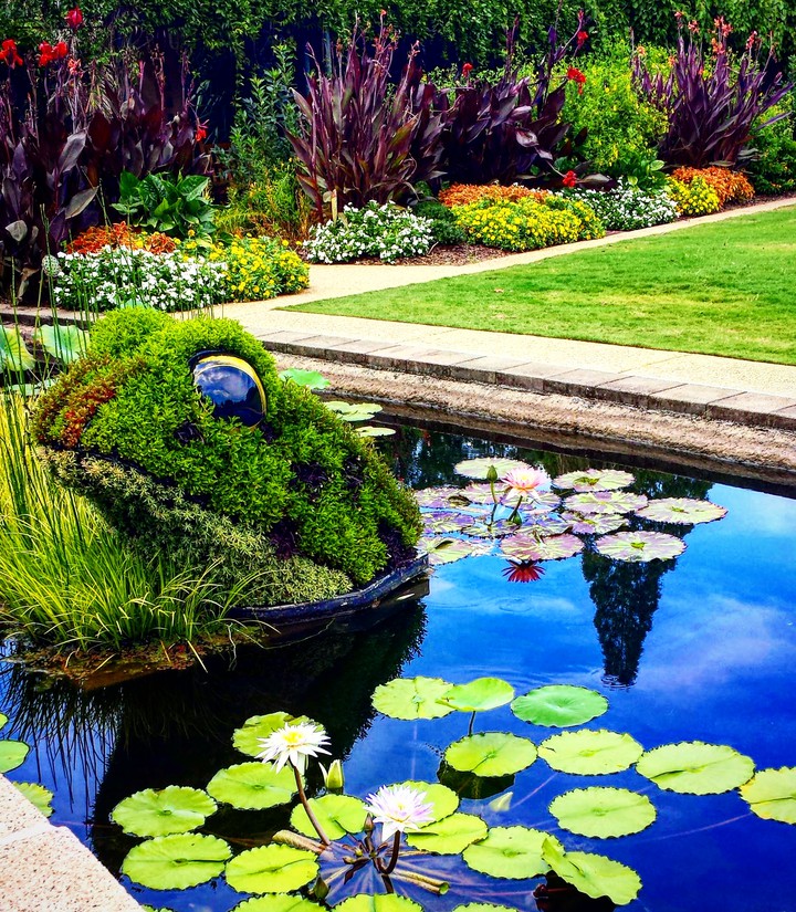 Frog Pond
