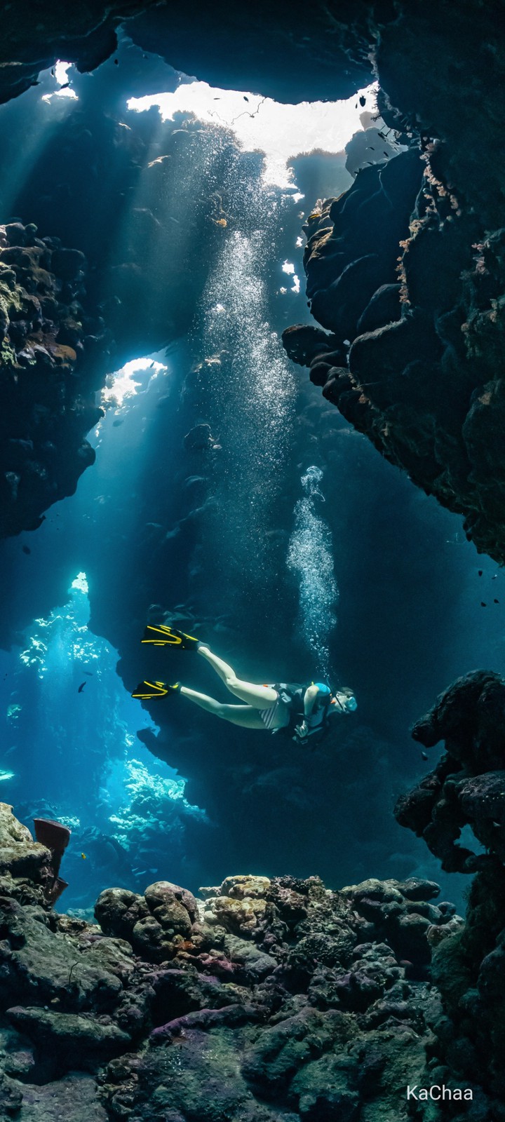Under the sea