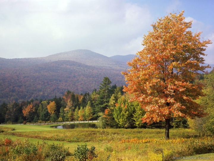 autumn