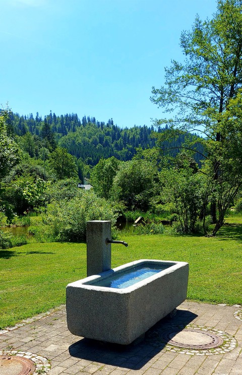 Brunnen
