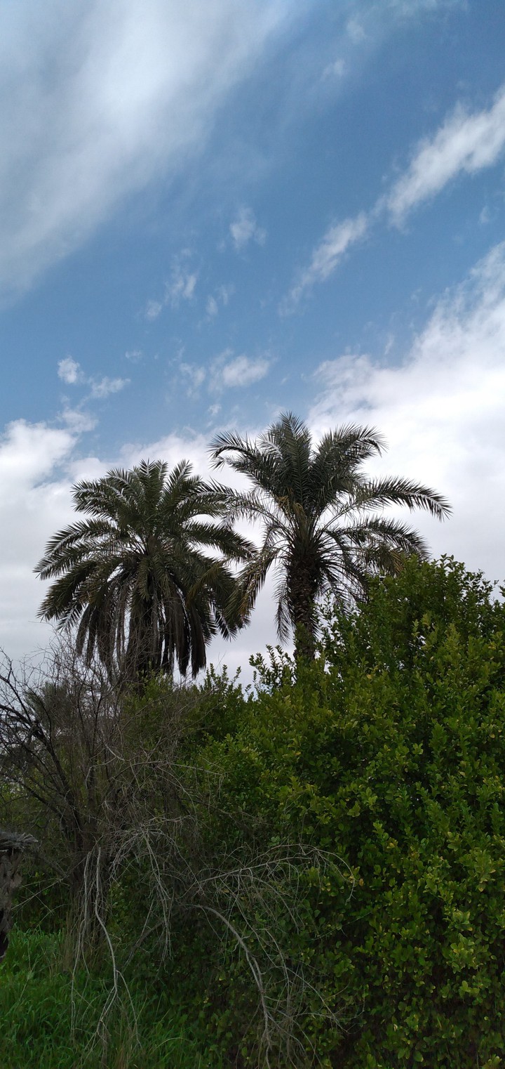 nature