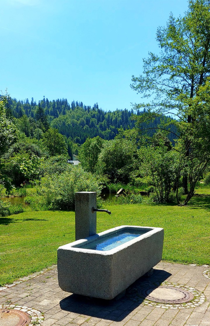 Brunnen