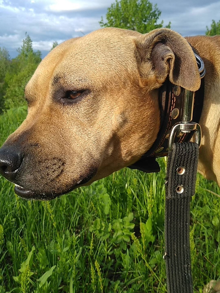 marley