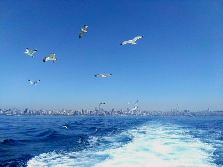 sea