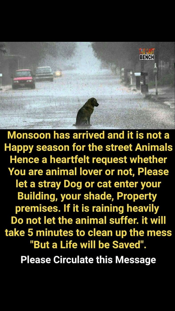 PLEASE HELP ANIMALS