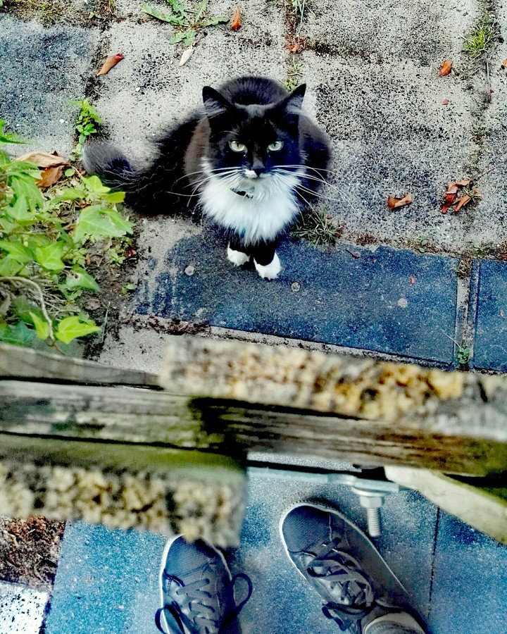 Invitation for adventure