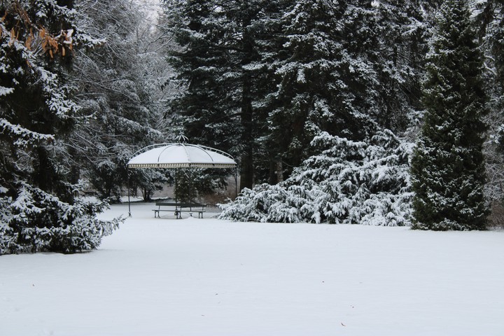 Winter