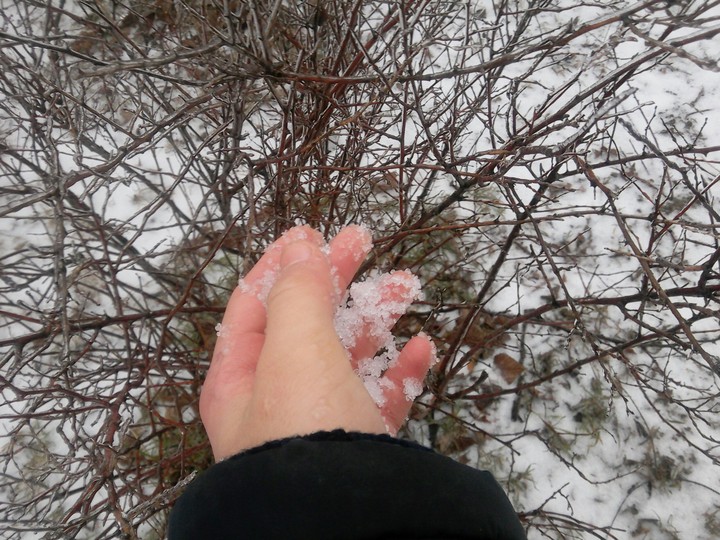 ❄❄❄