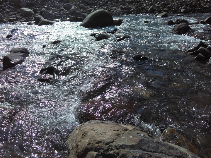 The holy river Ganga