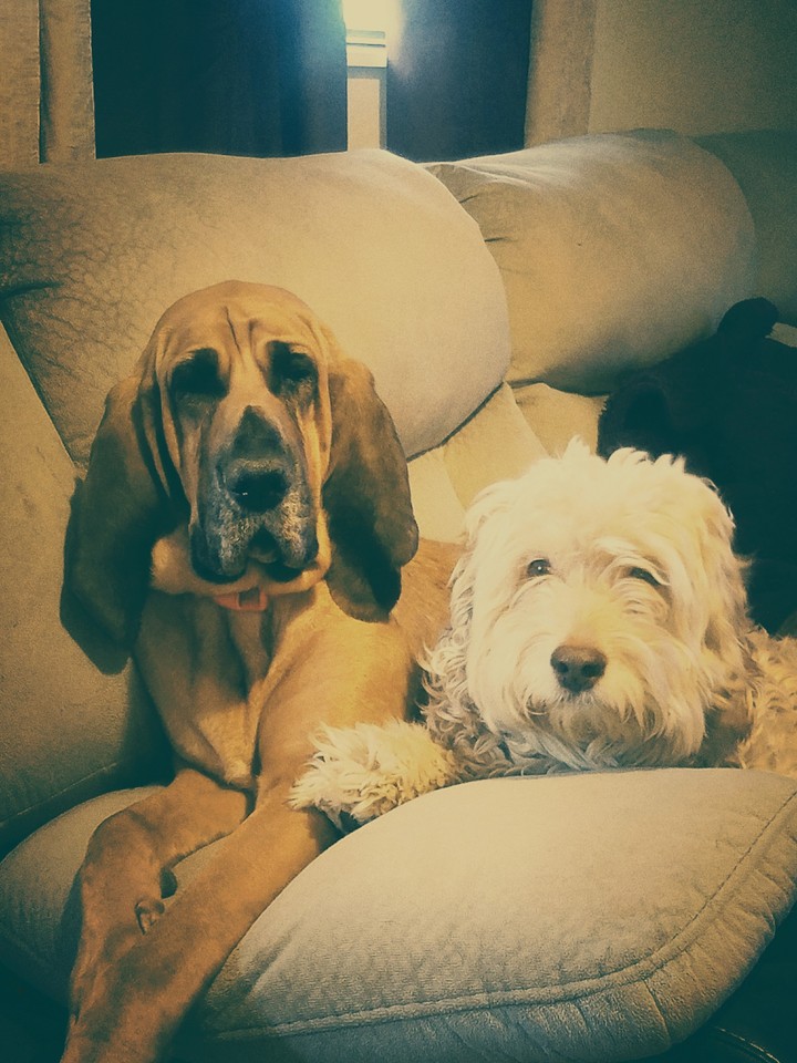 #bestbuds