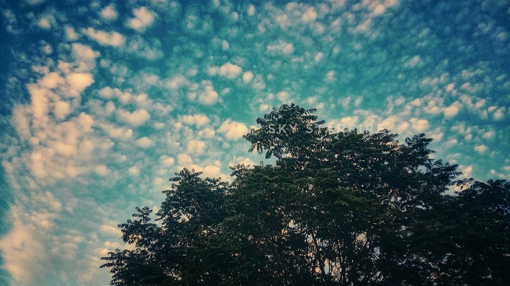 Cloudy