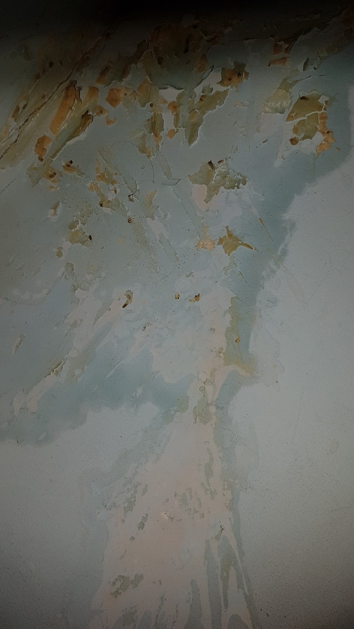 fototapeta ścienna