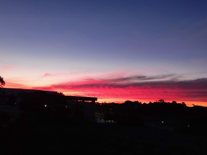 vista