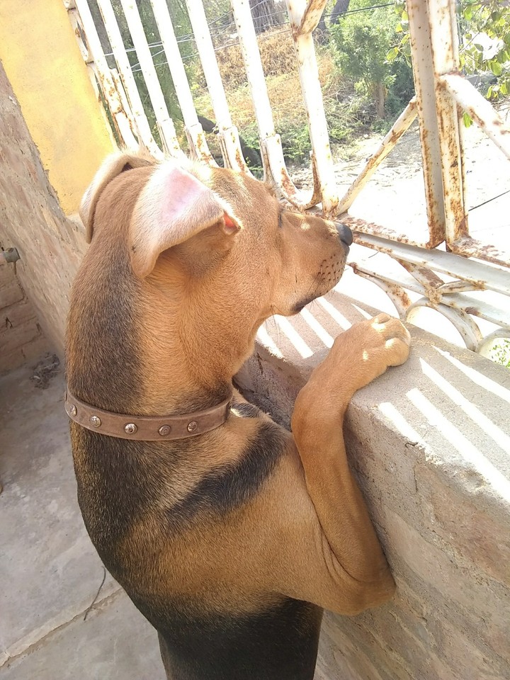 Waiting for someone