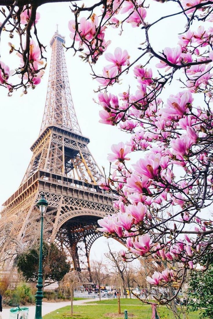 beautiful Paris
