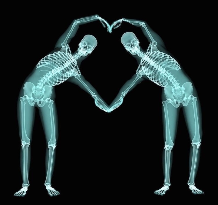 skelet love