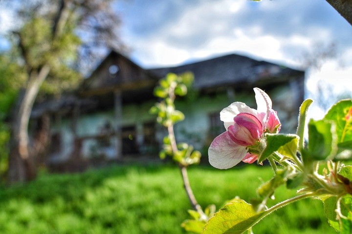 Spring