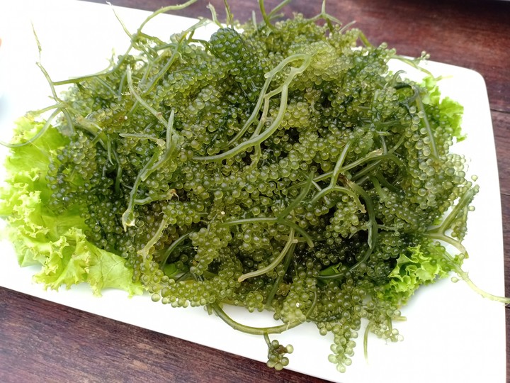 Seaweed