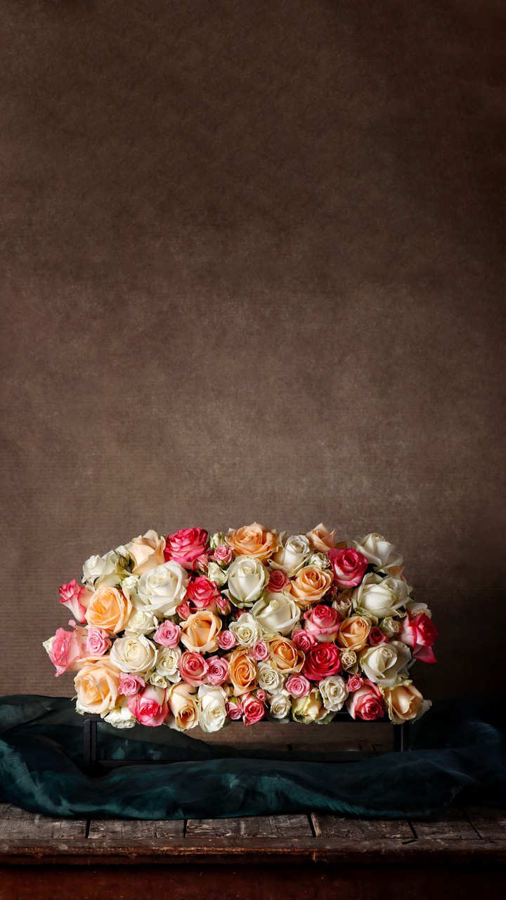 Sprache  , kind ,flowers,