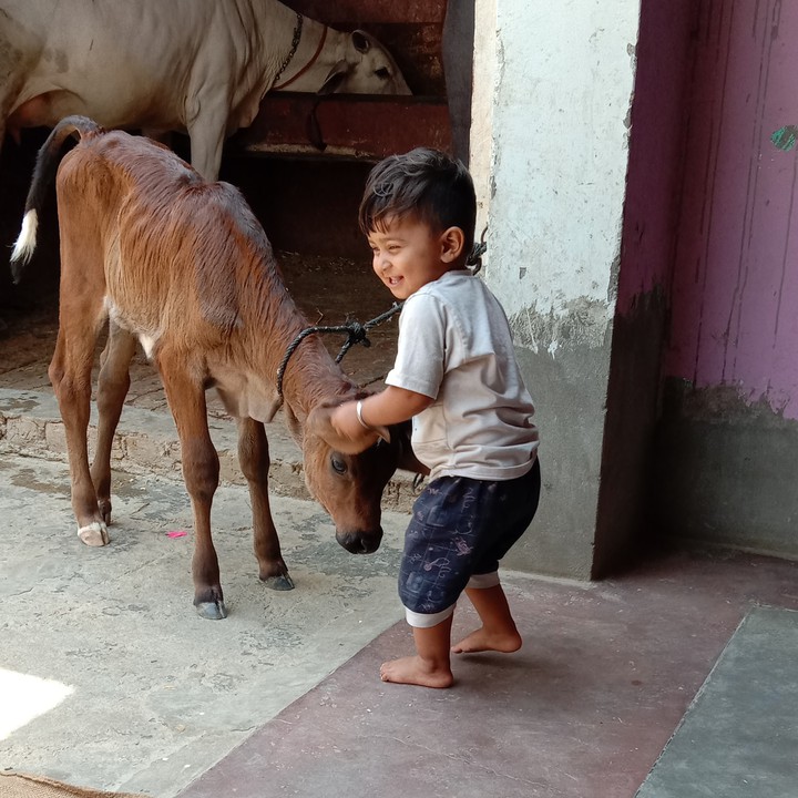 mathur0067