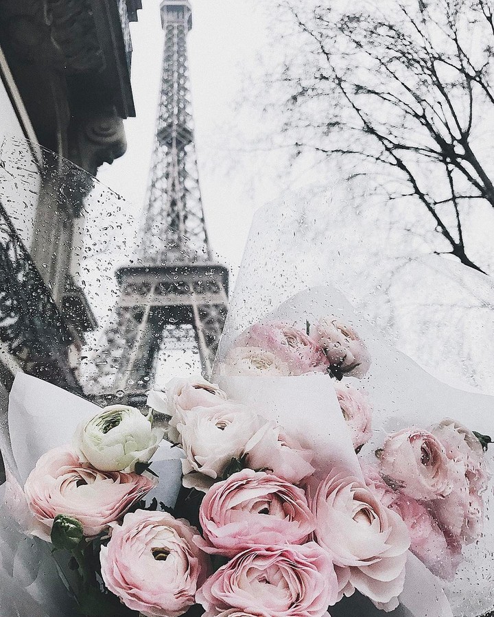 ~La tour Eiffel