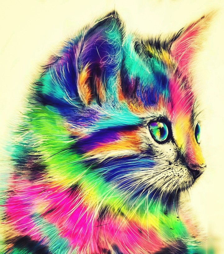color cat?