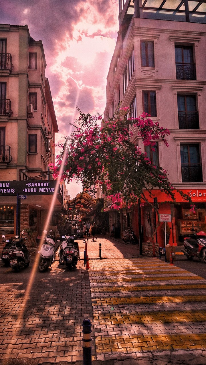 Turkey in pink