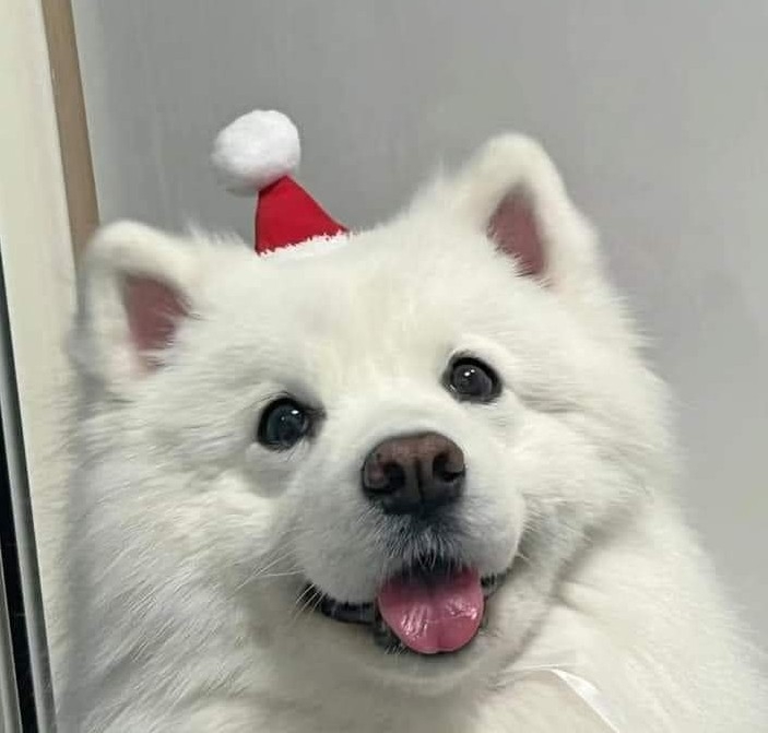 .