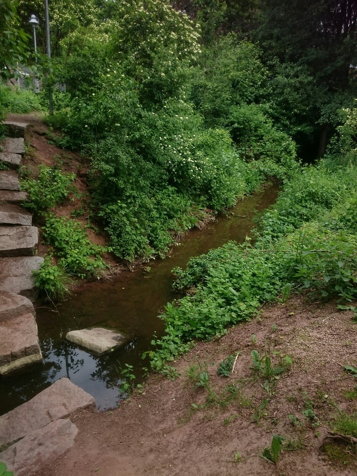 stairway