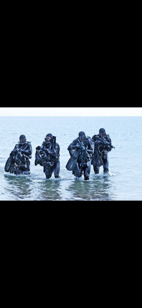 military diver