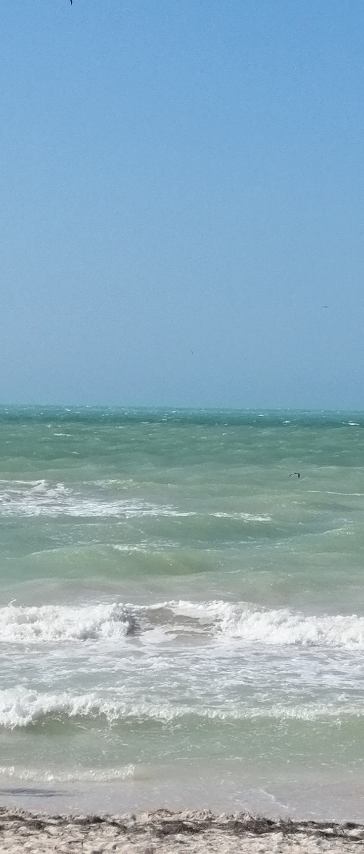 Progreso Yucatán México