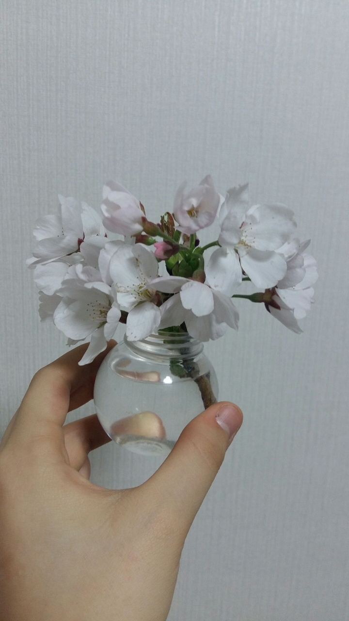 spring flowers