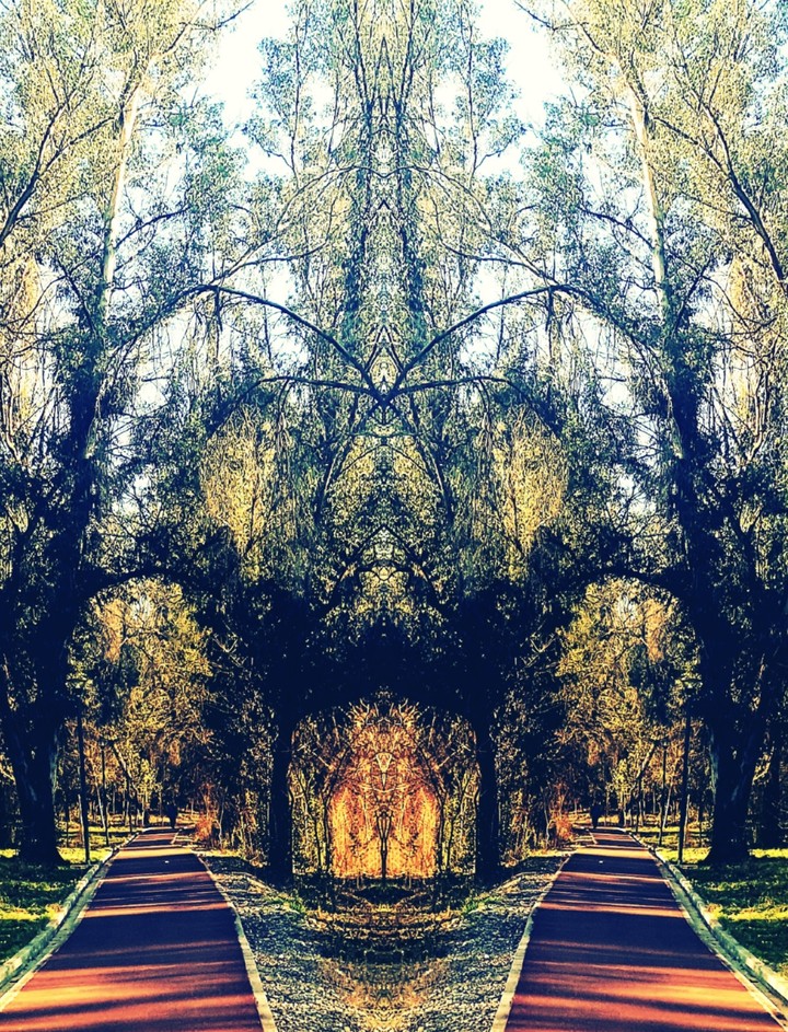 Fairy Entrance