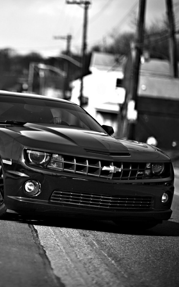 camaro