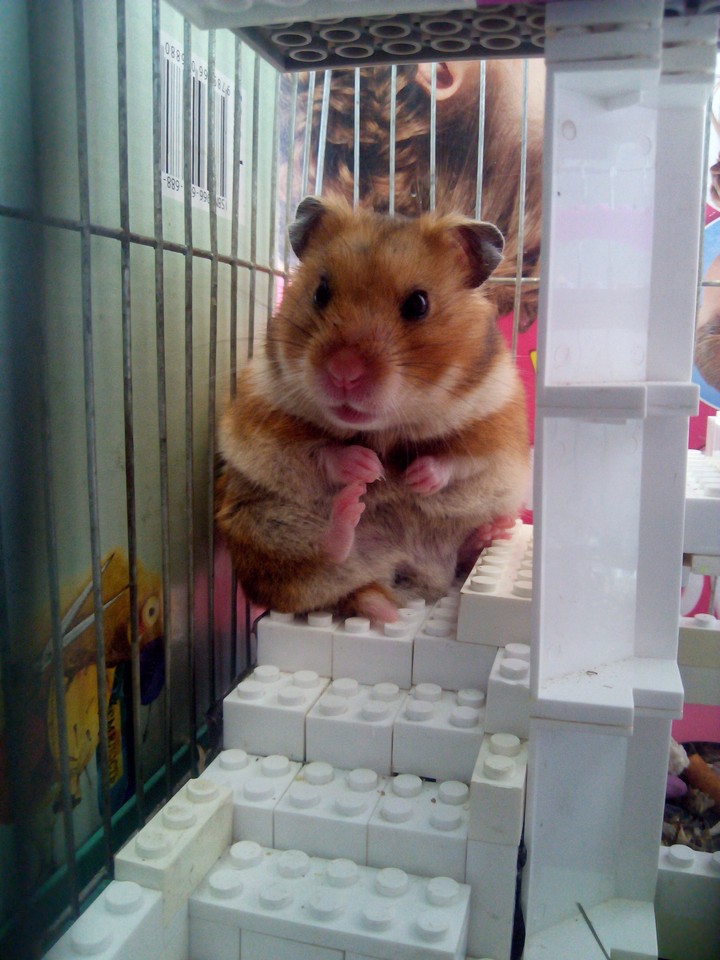 Beautiful_Busya)