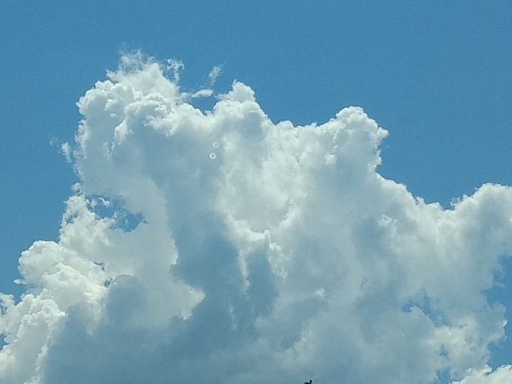 Blue Sky High